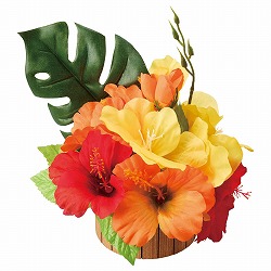 ��55-100-51-1 �g���s�J���n�C�r�X�J�X���ԃA�����W