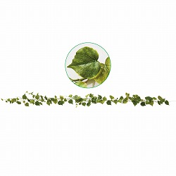 ��55-100-53-1 �R�b�g���E�b�h�K�[�����h