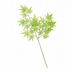 ��55-100-54-1 6�{ ���X�v���[�Z�b�g67cm�@(����)