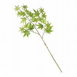 ��55-100-56-1 ���݂���}(����)76cm