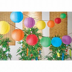 ��55-100-74-1 �������傤����Z�b�g25cm�i���j