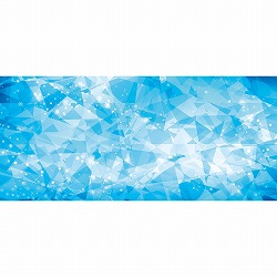 ��55-101-12-1 �ި���ڲ��� �ؽ����ٰ 200×90cm