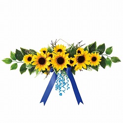 ��55-101-56-1 �Ђ܂��E�H�[���n���M���O