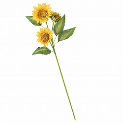 ��55-13-5-1 �Ђ܂�葢�ԃ����O�X�v���[ 90cm