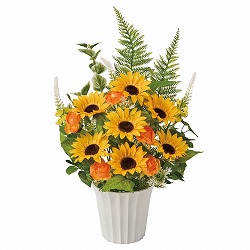 ��55-14-2-1 �t���b�V���Ђ܂�葢�ԃA�����W55cm