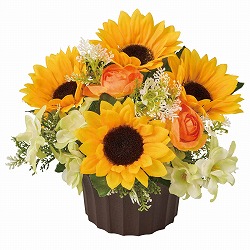 ��55-14-3-1 �Ђ܂�葢�ԃA�����W