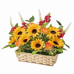 ��55-14-4-1 �~�b�N�X�Ђ܂�葢�ԃo�X�P�b�g