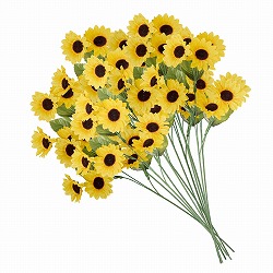 ��55-15-11-1 12�{ ƭ�����ܰ(�Ђ܂��)���Խ��ڰ50cm