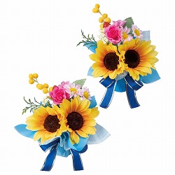 ��55-15-3-1 2�� �Ђ܂�葢�ԃ{�[�����b�v