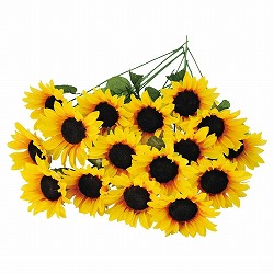 ��55-15-9-1 24�{ �Ђ܂�葢�ԃX�v���[54cm