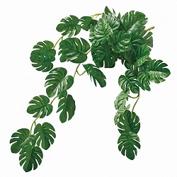 ��55-18-3-1 �~�j�����X�e���o�C��