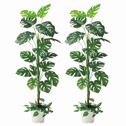 ��55-19-10-2 �l�H���؃����X�e��165cm�i�����X�e���j