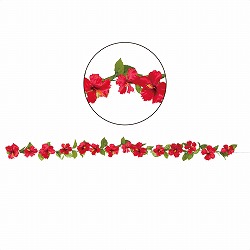 ��55-19-8-1 �n�C�r�X�J�X���ԃK�[�����h