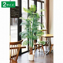 ��55-19-9-1 �l�H���؃A���J���V ����180cm