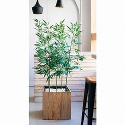 ��55-2-4-1 �t�F�C�N�W�����{�| 140cm�@(�l�H��)