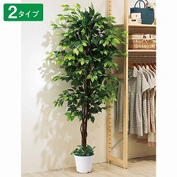 ��55-21-1-1 �l�H���؃x���W���~�� 180cm