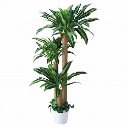 ��55-21-3-1 �l�H���؁y�K���̖؁z 180cm