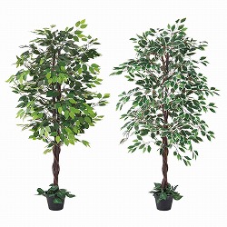 ��55-21-4-1 �l�H���؃x���W���~�� 150cm