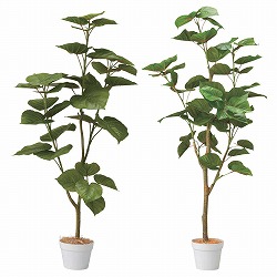 ��55-22-2-1 �l�H���؃t�B�J�X�E���x���[�^ ����130cm