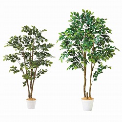 ��55-22-4-1 �l�H���؃}�E���e���A�b�V�� ����150cm