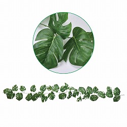 ��55-23-1-1 �����X�e���K�[�����h(�l�H����)