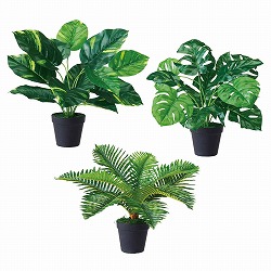 ��55-24-7-1 �O���[���|�b�g �|�g�X