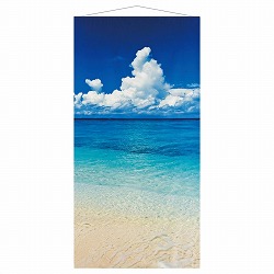 ��55-33-10-1 �^�y�X�g���[ �C�_