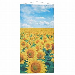 ��55-33-5-1 �^�y�X�g���[ �Ђ܂�薞�J