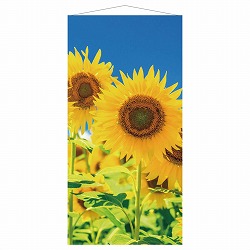 ��55-33-6-1 �^�y�X�g���[ �Ђ܂��