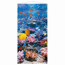 ��55-33-8-1 �^�y�X�g���[ �u���[�}����