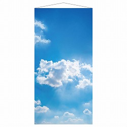 ��55-33-9-1 �^�y�X�g���[ �X�J�C