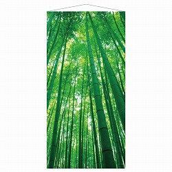 ��55-34-7-1 �^�y�X�g���[ �|��