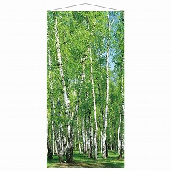 ��55-34-8-1 �^�y�X�g���[ ����