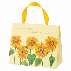 ��55-36-3-1 20�� �o�b�O�^�M�t�g�{�b�N�X �Ђ܂��