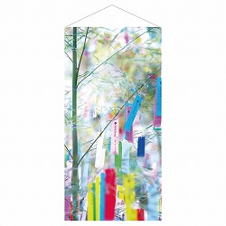 ��55-6-5-1 �^�y�X�g���[ ���[������