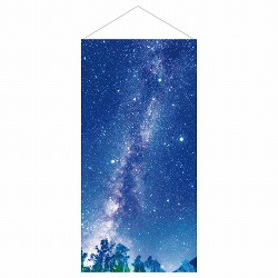 ��55-6-6-1 �^�y�X�g���[ ���[�V�̐�