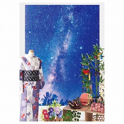 ��55-6-7-1 �o�b�N�O���E���h�V�[�g ���[�V�̐� 175×