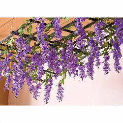 ��55-9-1-1 ���I ���� ��70×���s40×����30cm