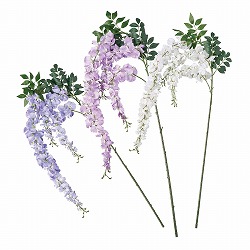 ��55-9-5-1 ���̓��}���ԃX�v���[ �z���C�g