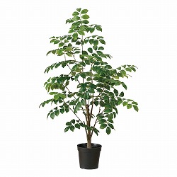 57-1-11-1 glRilH؁j ~j|bg90cm