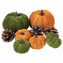 ��57-100-28-1 9�� �I�[�^���f�R���[�V����