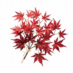 ★57-100-78-1 紅葉造花ピック28cm
