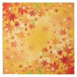 ��57-100-8-1 �f�B�X�v���C�N���X �a�����݂�100x100cm