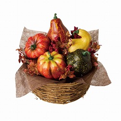 ��57-100-85-1 �p���v�L���o�X�P�b�g�A�����W