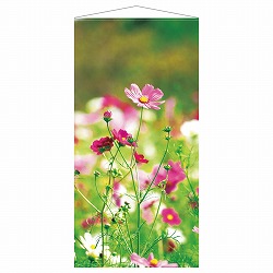 ��57-101-18-1 �H�^�y�X�g���[ �O���[���R�X���X