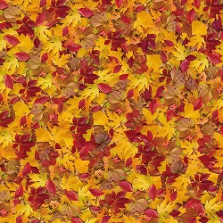 ��57-101-23-1 �f�B�X�v���C�N���X �����t100×100cm