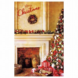 ★58-117-11-1 バックグラウンドシート クラシッククリスマス145×220cm