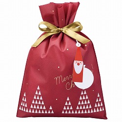 ★58-141-8-1 10枚 不織布リボン付きギフトバッグ サンタタグセッ