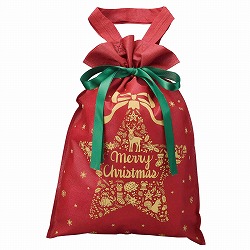 ★58-141-9-1 10枚 不織布リボン付きギフトバッグ シンプルメリー