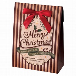 ★58-144-3-1 20枚 ギフトボックス アメリカンクリスマス